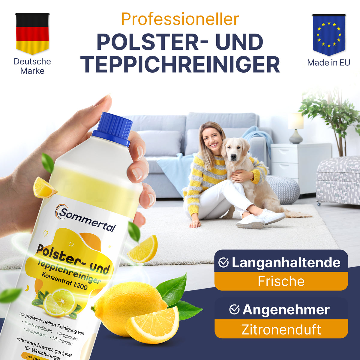 Polster- und Teppichreiniger, 12x1L Profi Konzentrat