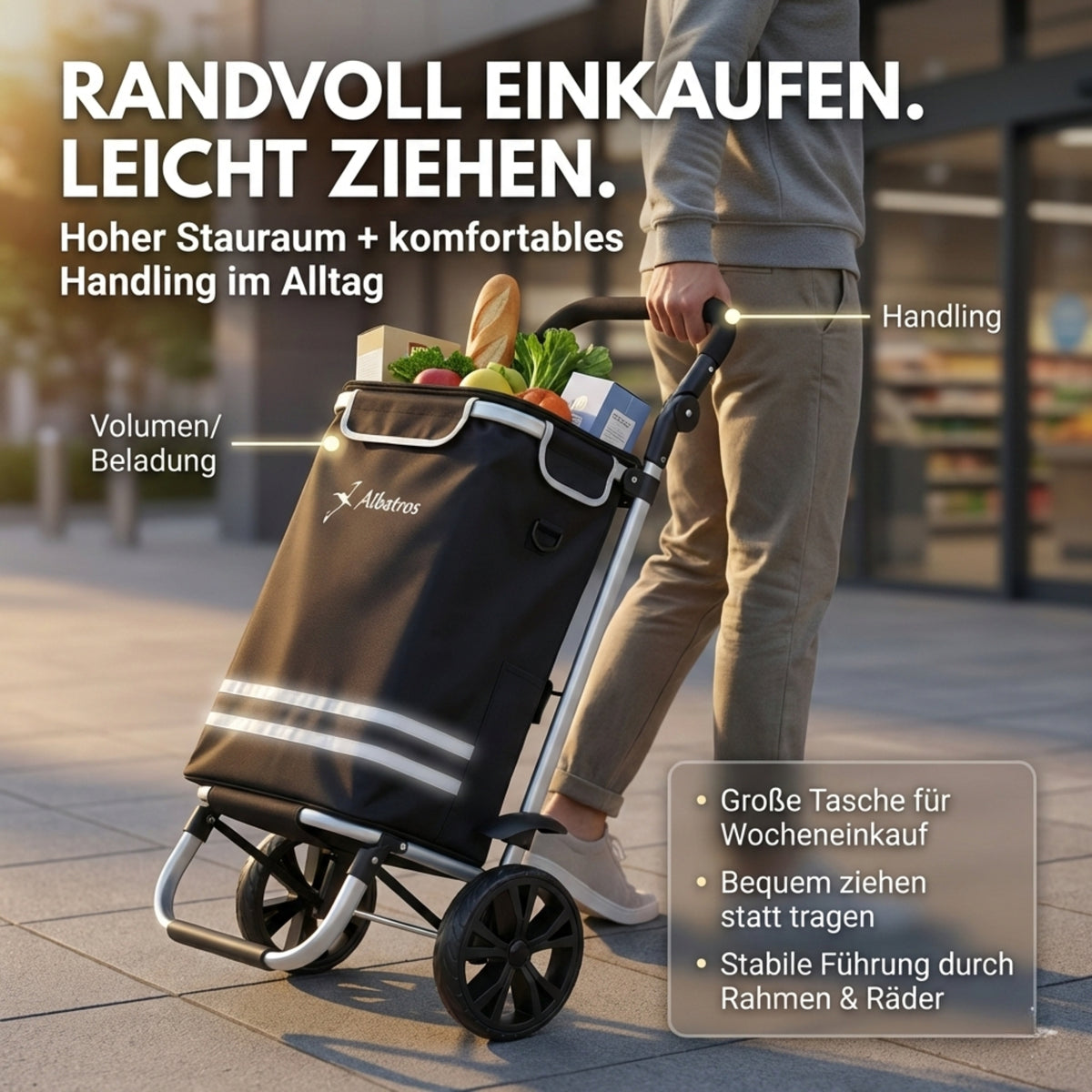 ALBATROS Einkaufstrolley Groß | Einkaufsroller mit großer Tasche, Thermo-Innenbeutel | Sichtfenster für Einkaufszettel | Faltbar klappbar mit großen Räder | Sackkarre inkl. Einkaufswagen-chip