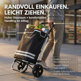 ALBATROS Einkaufstrolley Groß | Einkaufsroller mit großer Tasche, Thermo-Innenbeutel | Sichtfenster für Einkaufszettel | Faltbar klappbar mit großen Räder | Sackkarre inkl. Einkaufswagen-chip