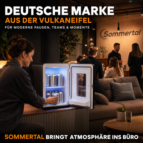 KS15 Mini Kühlschrank, zum kühlen und wärmen, Volumen 15L, AC für Haus Steckdose und DC für Auto 12V Betrieb, Bierkühlschrank lautlos Getränkekühlschrank klein