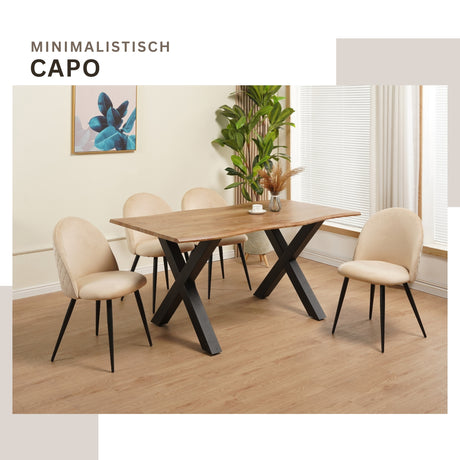 ALBATROS Designer Esszimmerstuhl CAPO | 4er Set | Schwarz, Braun, Grau, Beige, Türkis, Blau, Pink | Samt Bezug