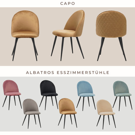 ALBATROS Designer Esszimmerstuhl CAPO | 4er Set | Schwarz, Braun, Grau, Beige, Türkis, Blau, Pink | Samt Bezug