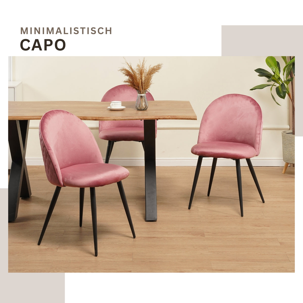 ALBATROS Designer Esszimmerstuhl CAPO | 4er Set | Schwarz, Braun, Grau, Beige, Türkis, Blau, Pink | Samt Bezug