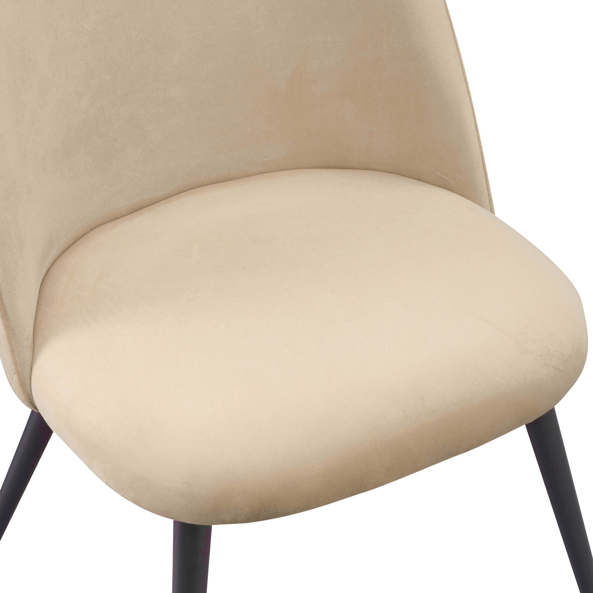 ALBATROS Designer Esszimmerstuhl CAPO | 4er Set | Schwarz, Braun, Grau, Beige, Türkis, Blau, Pink | Samt Bezug