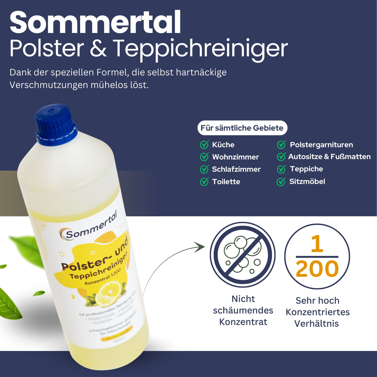 MultiCleaner WS450 5in1 +1L Polsterreiniger, Gerät für Teppiche, Treppen, Polster, Sofa, Auto, Tiere, Flecken