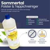 MultiCleaner WS450 5in1 +1L Polsterreiniger, Gerät für Teppiche, Treppen, Polster, Sofa, Auto, Tiere, Flecken