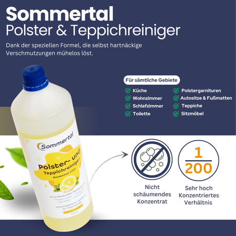 MultiCleaner WS450 5in1 +1L Polsterreiniger, Gerät für Teppiche, Treppen, Polster, Sofa, Auto, Tiere, Flecken